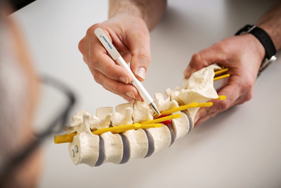 10_11_APdM_2_24_Bandscheibe Modell