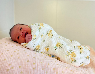 1743320040000-anastasia