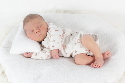 1744614720000-ellen-merle