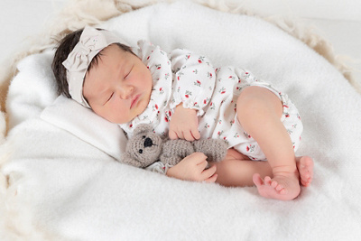 1757157960000-aurelia