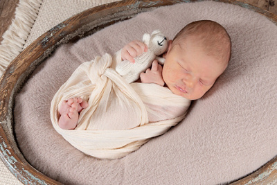 1762587780000-filip-nikola