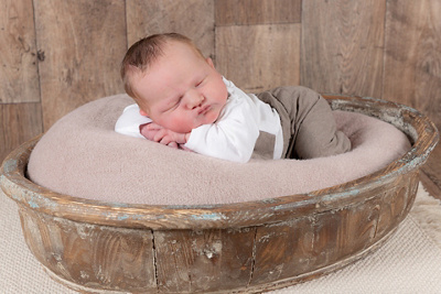 1765383600000-nikola