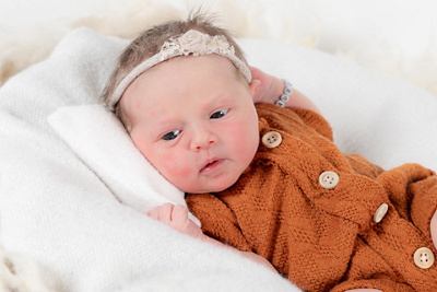 1765440240000-aurelia