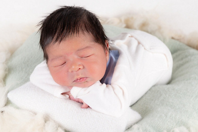 1765538100000-adonis-alexandros