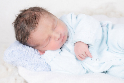 1769695260000-mihajlo