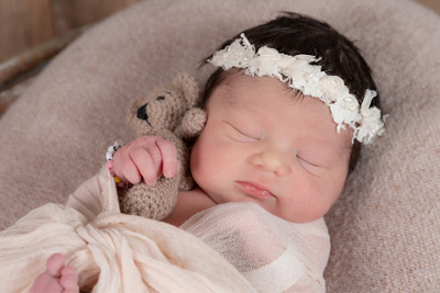 1772178540000-isidora