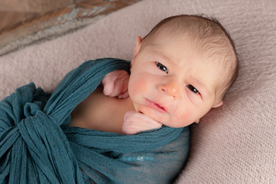 1774453200000-tancredi