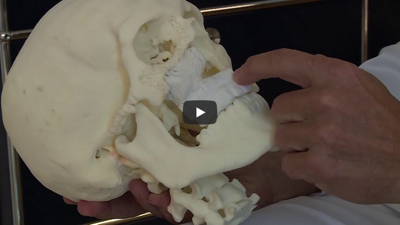 Screenshot des Videos