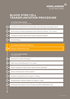 Ablauf Blutstammzelltransplantation