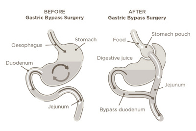 6966 Combined Illustrations 1536x1024px Final