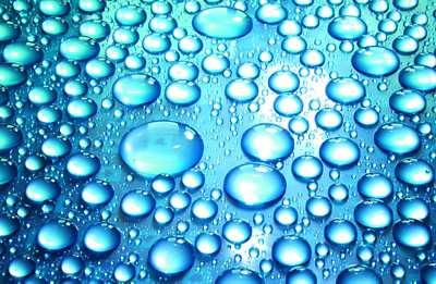 Ratgeber-Cover «Zystennieren – ADPKD»