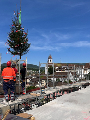 Anbringen Richtbaum_4