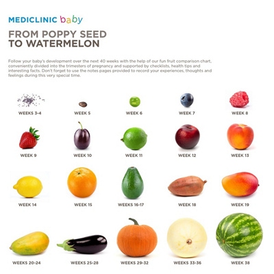 BABY-POPPY SEED TO WATERMELON