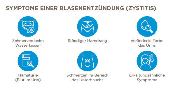 blasenentzündung durch gleitgel Spunk Hybrid Gleitgel main image 1
