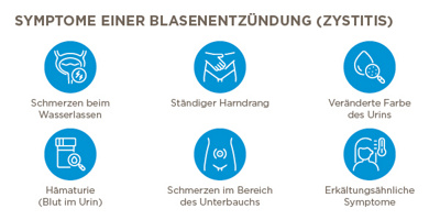 Abbildung Symptome Blasenentzündung