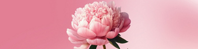 Breast cancer 01