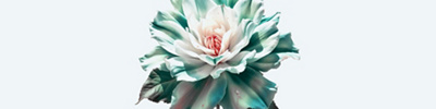 Cervical cancer 01