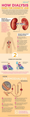 How dialysis does the kidneys’ job [infographic]