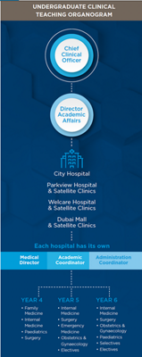Clinical Teaching organogram