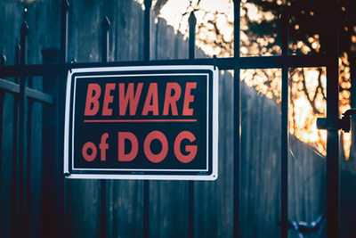 Avoid dog bites