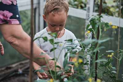 ER24 Garden- 1152 x 768 - 1