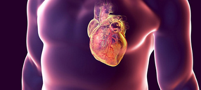 Accurate, Reliable Echocardiography Saves Time, Money and Lives