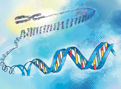 Genetik-teaser