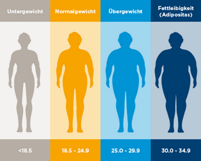 Vier Kategorien der BMI Tabelle