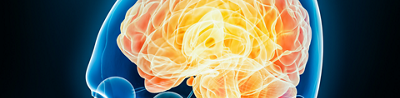 Graphic of person’s head with brain lit up