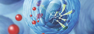 Hirslanden-Dem-Krebs-auf-der-Spur-3