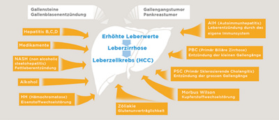 Hirslanden-Erhöhte-Leberwerte-und-Gelbsucht-1