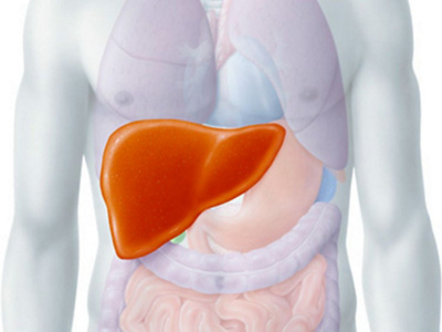 Hirslanden-viszeralchirurgie-leber