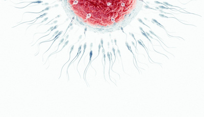 BabyImpulse, laboratoire de procréation médicalement assistée