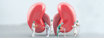 Kidney Health B