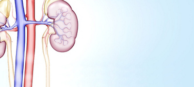 Kidney transplants