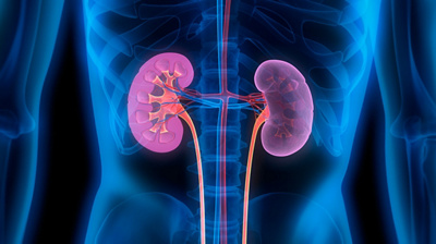 Kidney disease