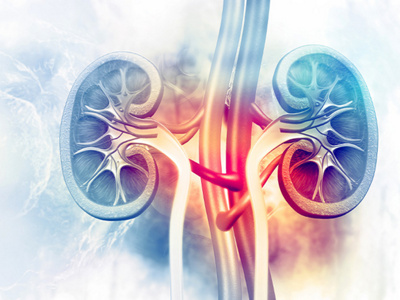 Kidney-Transplantation-Unit 2