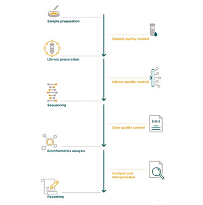 MC-precise-technology 2