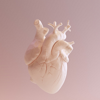 MCME-CARDIOVASCULAR-SCREENING