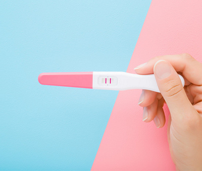 The first trimester - weeks 3-14