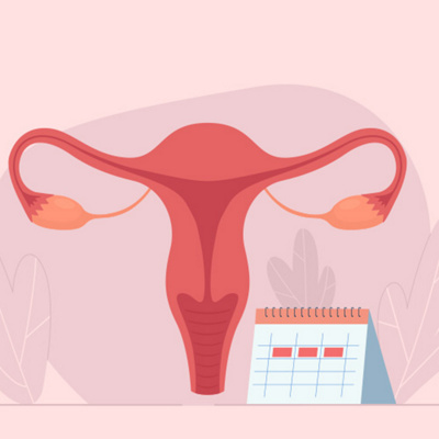 MCME-Menstrual-cycle