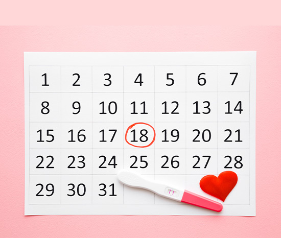 Ovulation Calculator- Know Your Most Fertile Days - Motherhood