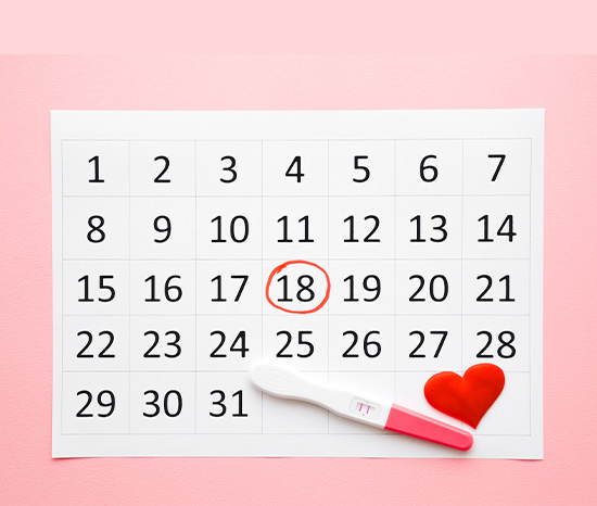 Check Ovulation Calculator & Calendar