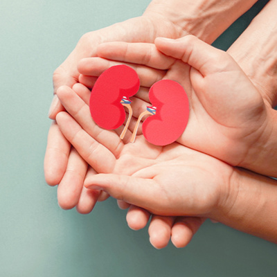 MCME-kidney-care-and-transplant-services