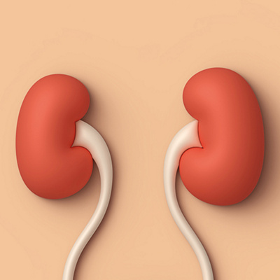 MCME.KIDNEY-Educational-Materials