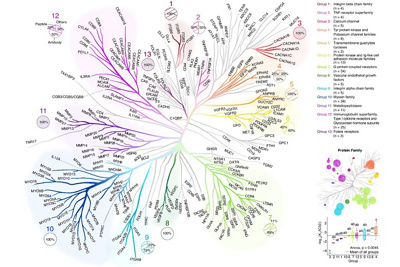 MM_Theranostic_Genome