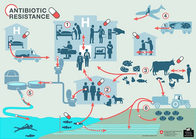 MRE_Antibiotic Resistance