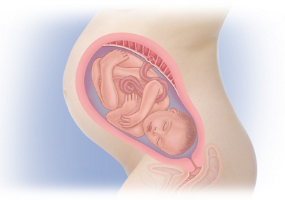 MediJupiterDevFoetus_Wk34