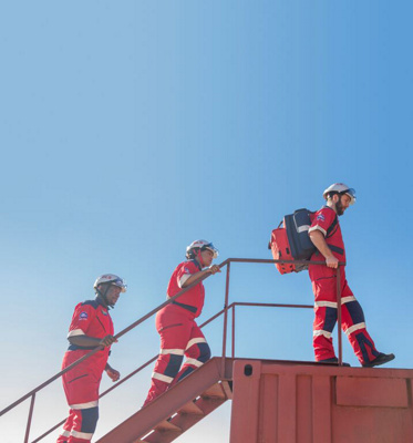 ER24 climbing a ladder