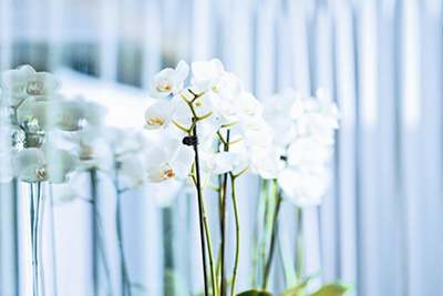 Medium-Hirslanden_Kueche_058_DL(1)